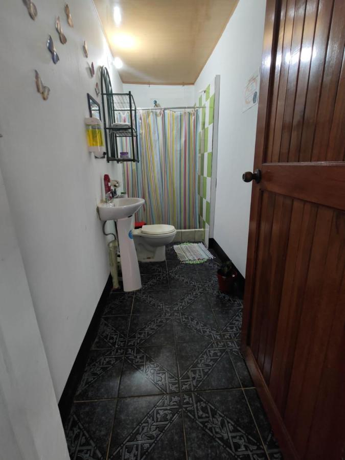 Tortuguero Casa De Playa Green Houseアパートメント エクステリア 写真