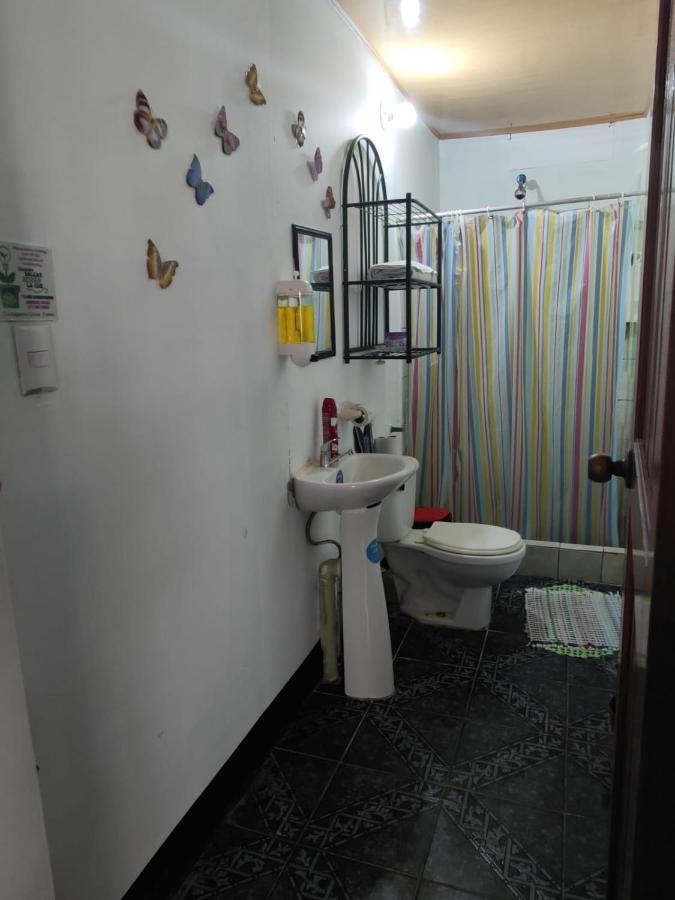 Tortuguero Casa De Playa Green Houseアパートメント エクステリア 写真