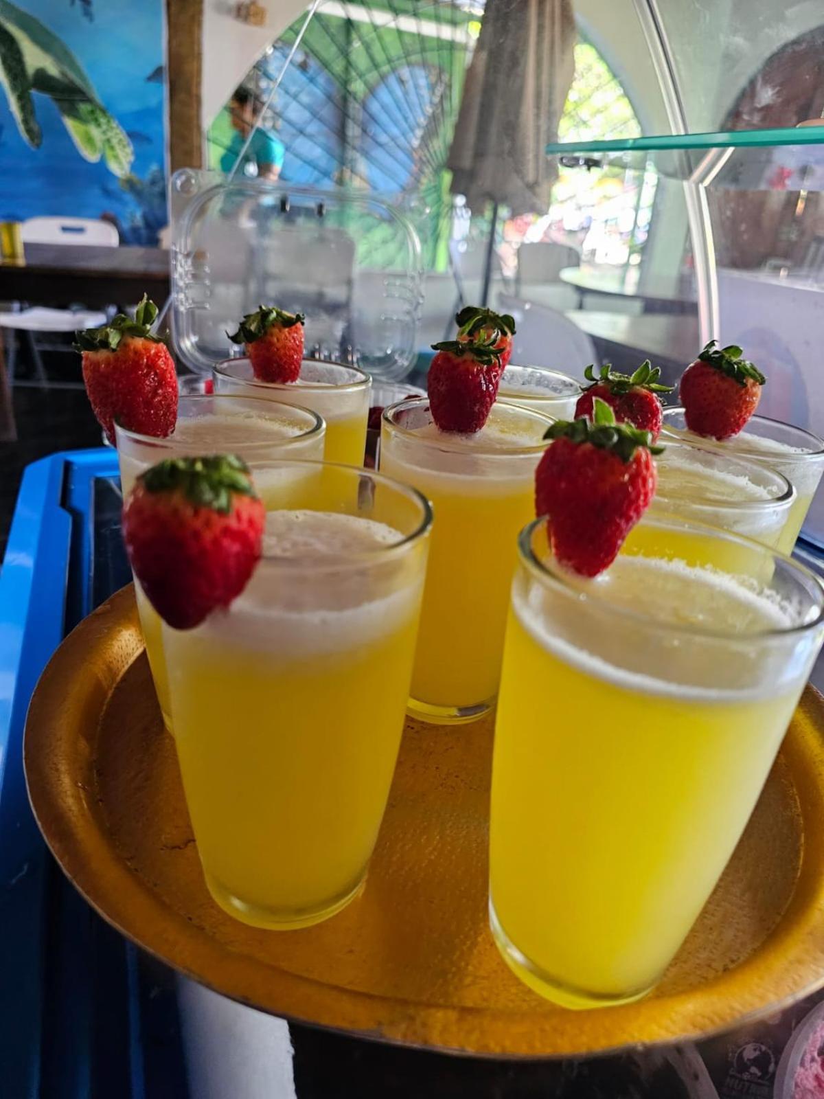 Tortuguero Casa De Playa Green Houseアパートメント エクステリア 写真