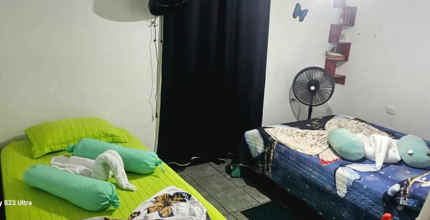 Tortuguero Casa De Playa Green Houseアパートメント エクステリア 写真
