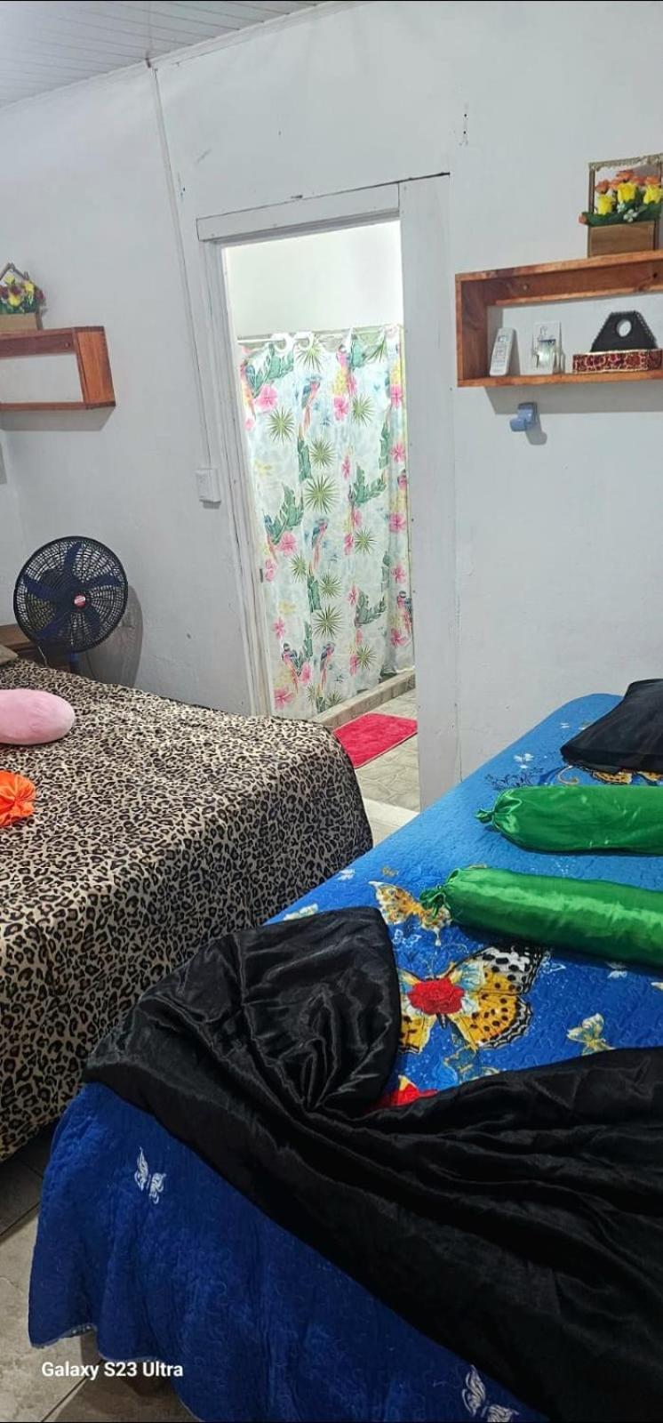 Tortuguero Casa De Playa Green Houseアパートメント エクステリア 写真