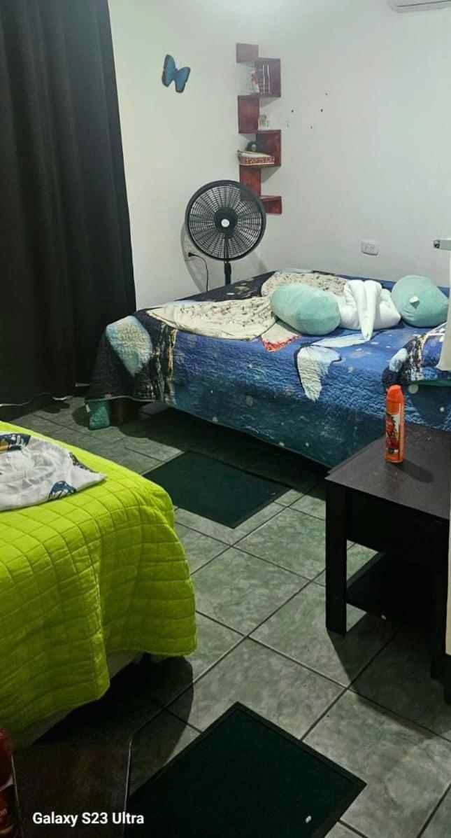 Tortuguero Casa De Playa Green Houseアパートメント エクステリア 写真