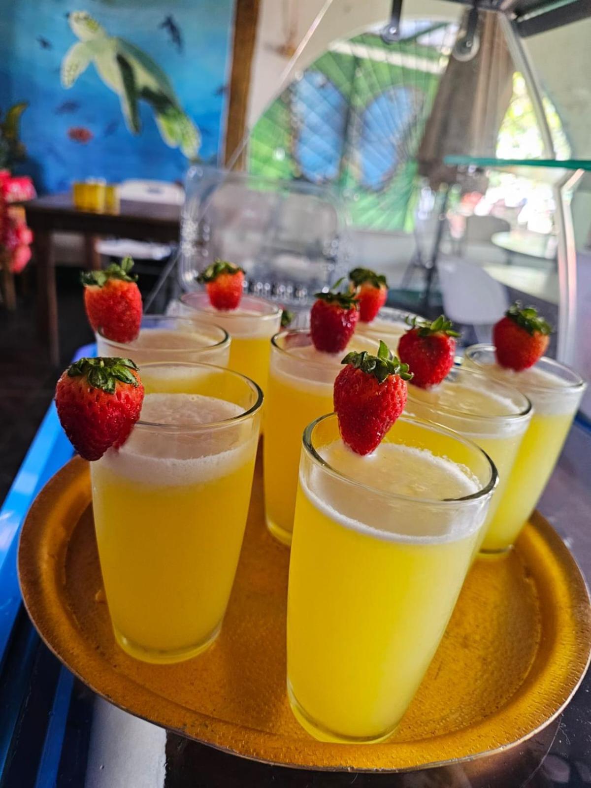 Tortuguero Casa De Playa Green Houseアパートメント エクステリア 写真