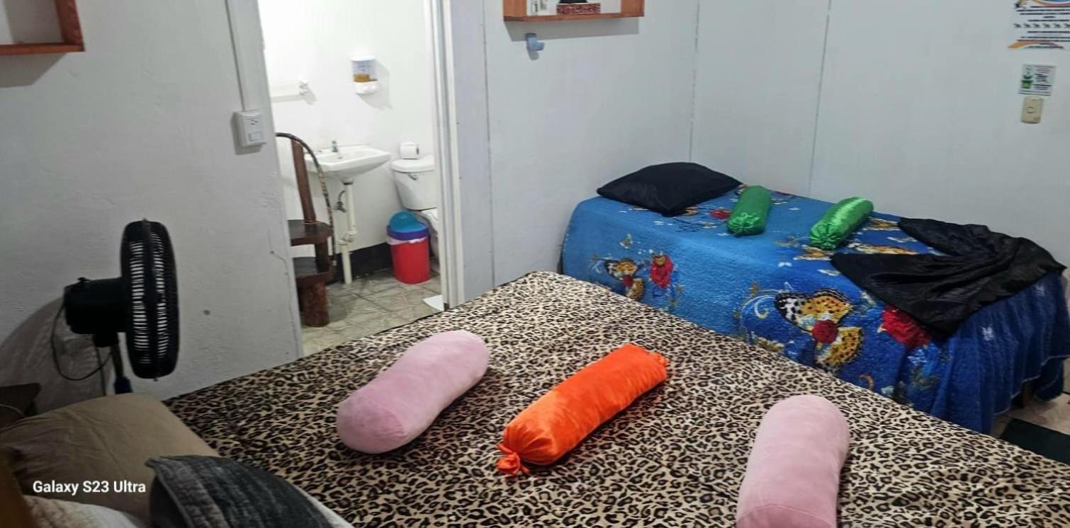 Tortuguero Casa De Playa Green Houseアパートメント エクステリア 写真