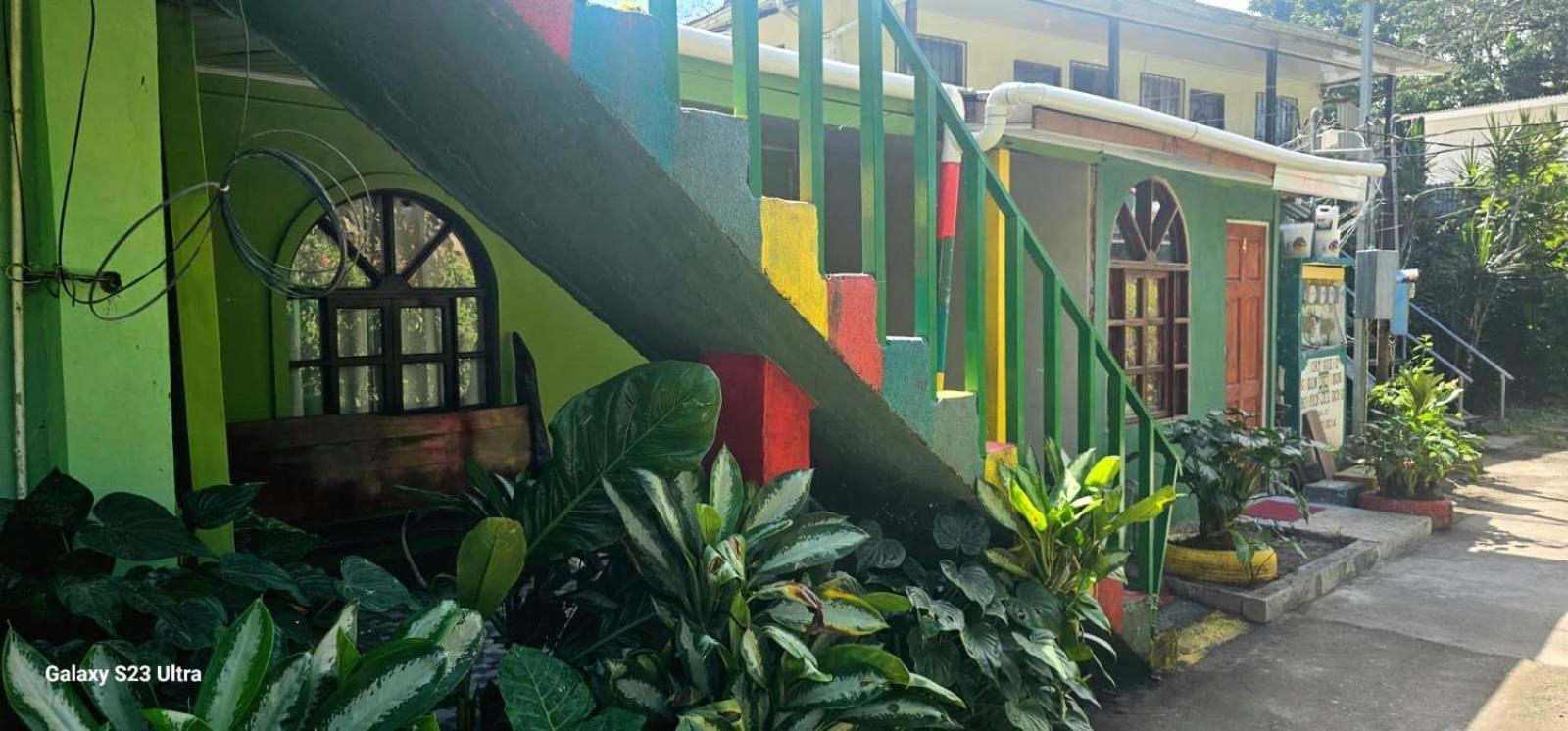 Tortuguero Casa De Playa Green Houseアパートメント エクステリア 写真