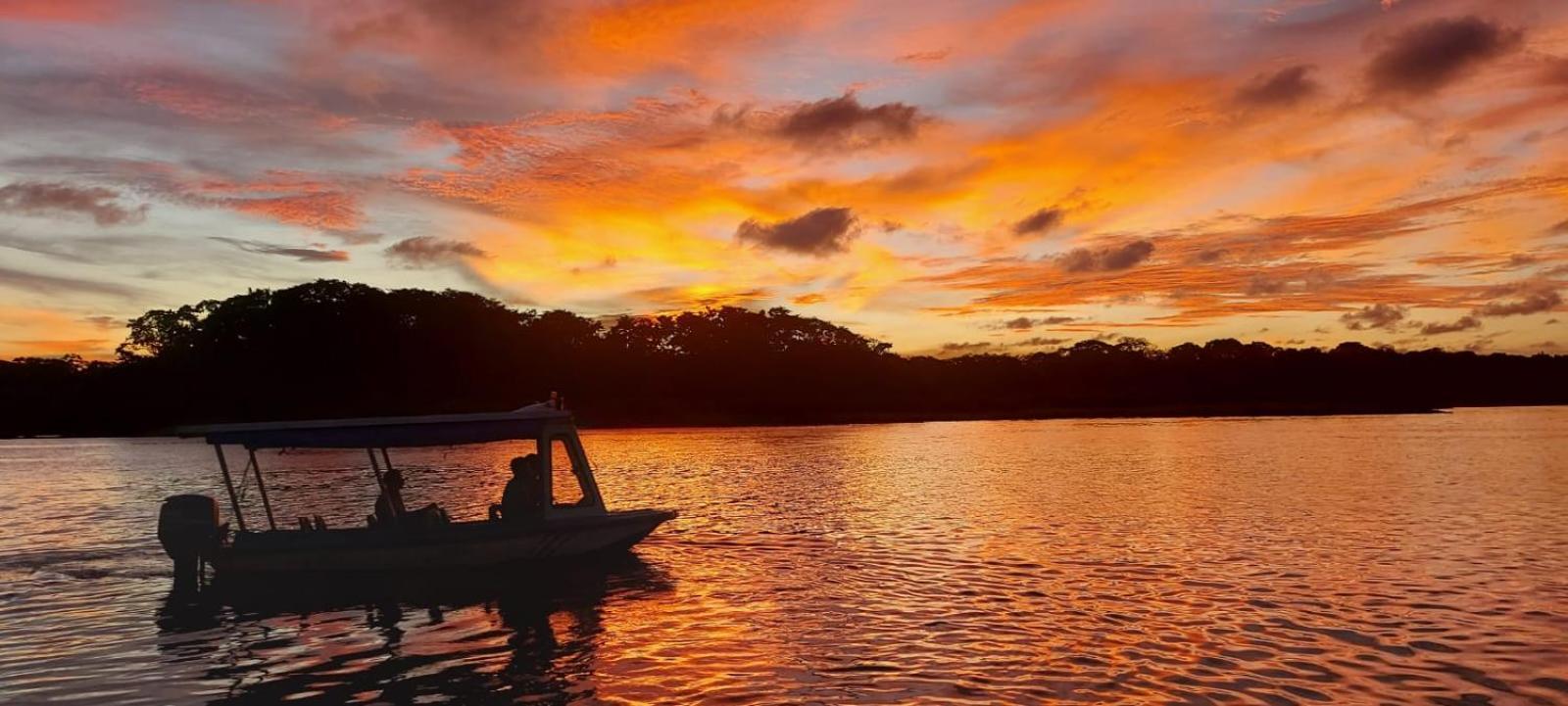 Tortuguero Casa De Playa Green Houseアパートメント エクステリア 写真