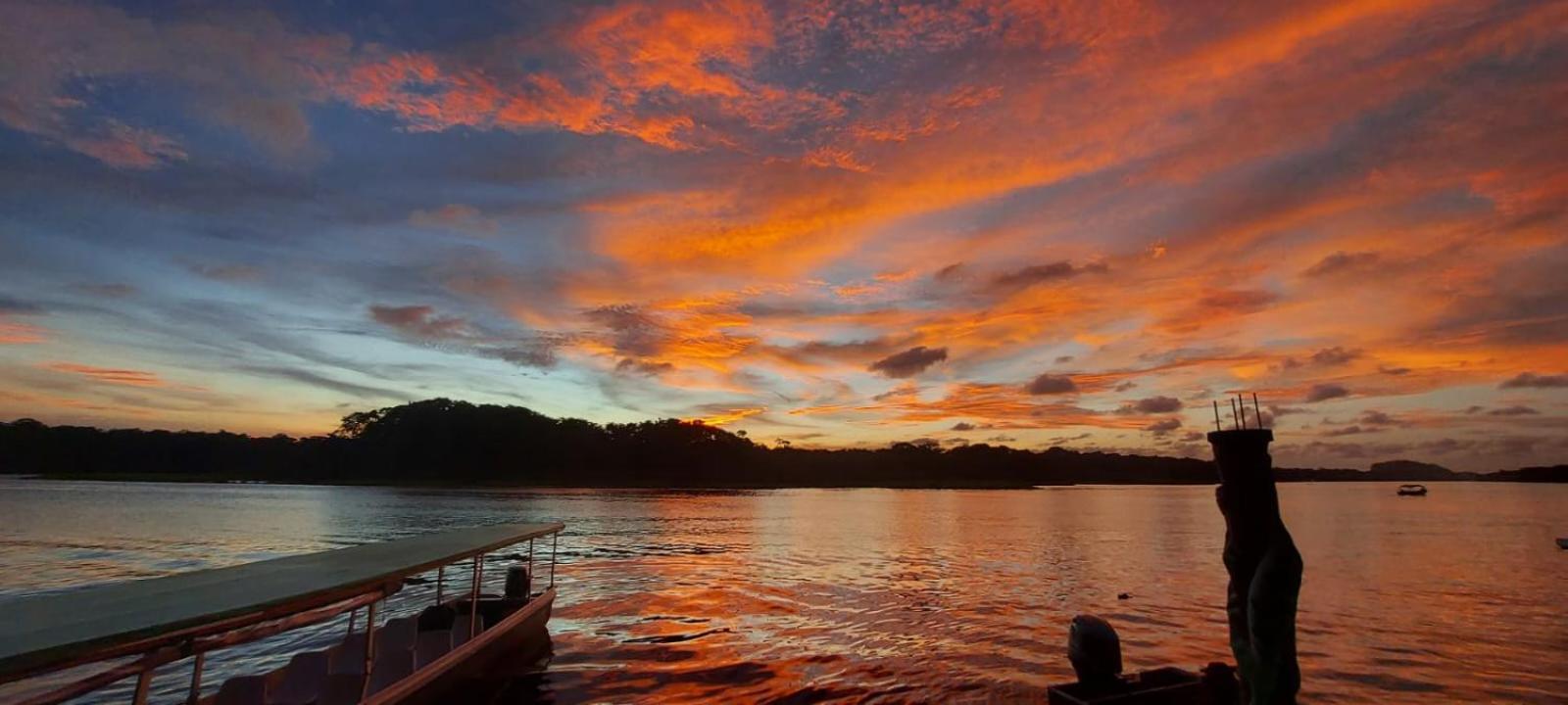 Tortuguero Casa De Playa Green Houseアパートメント エクステリア 写真